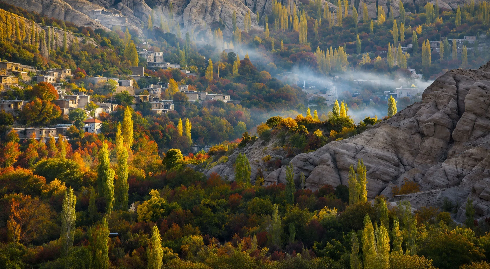 بگو کجا