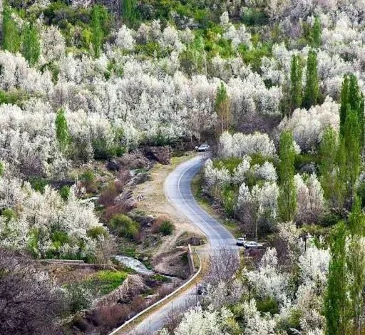 اجاره ویلا در بوژان
