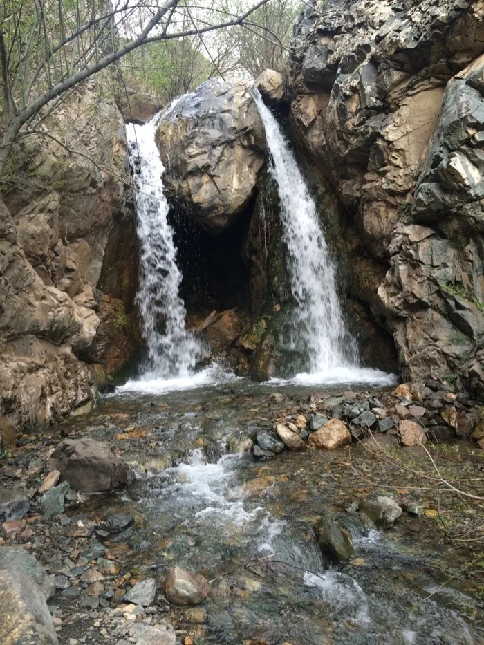 اجاره ویلا در رود