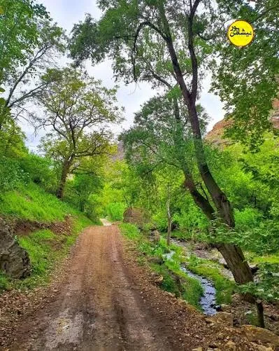 اجاره ویلا در خور