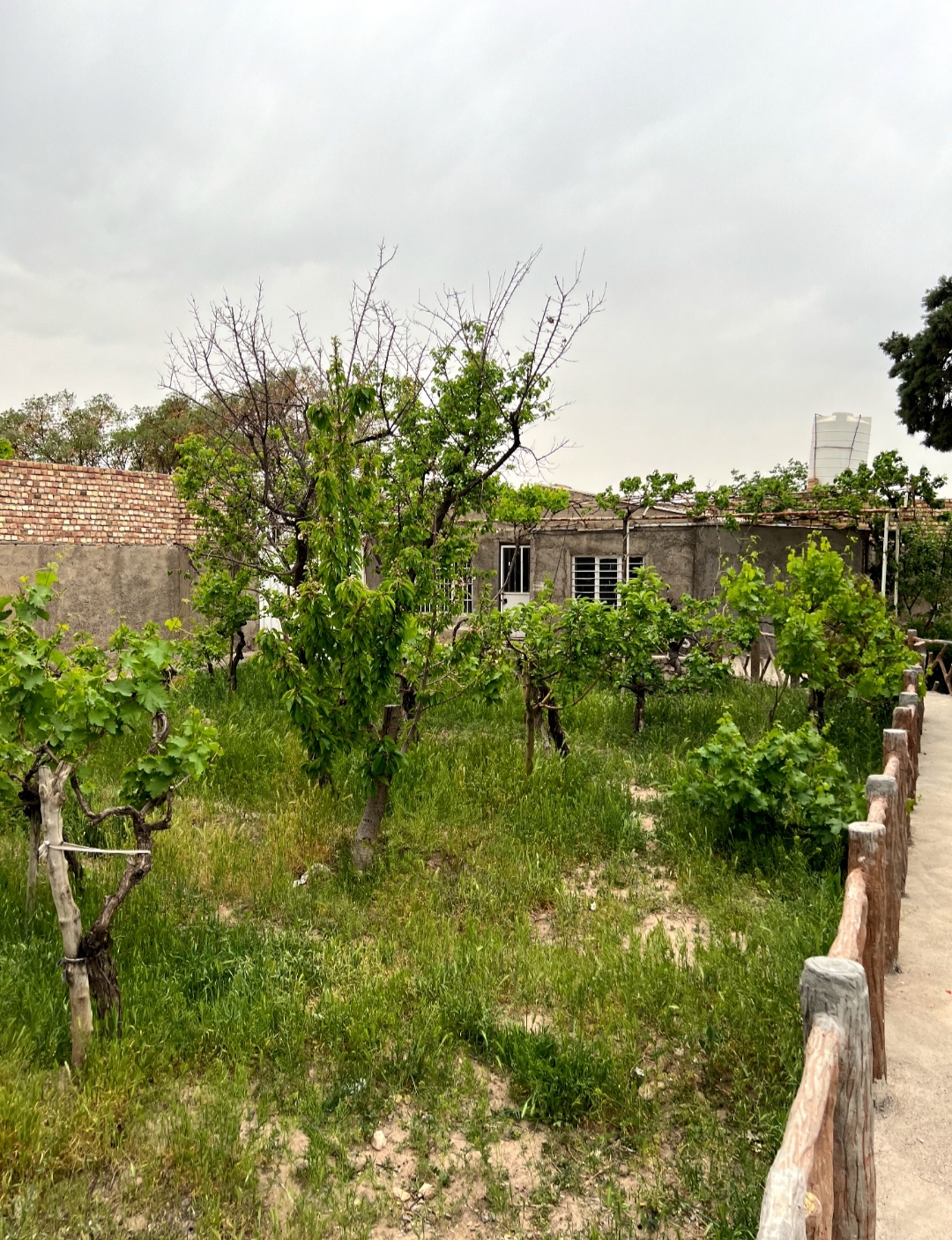 باغ ویلا استخردار بزرگ باغرود_کد۴۷